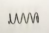 PSA 9630209180 Coil Spring